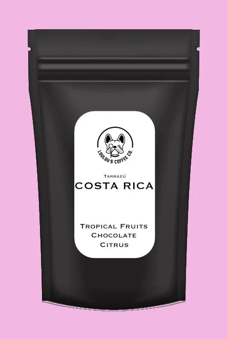 COSTA RICA, Tarrazú - LOULOU'S COFFEE CO.