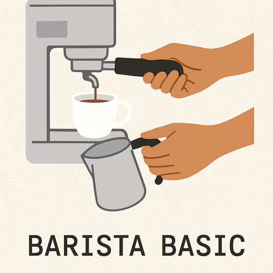 Barista Basic Workshop – 2–4 Std. - LOULOU'S COFFEE CO.